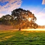 Avatar de Iván Téllez